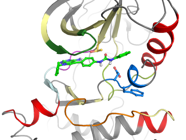The orthosteric binding pocket
