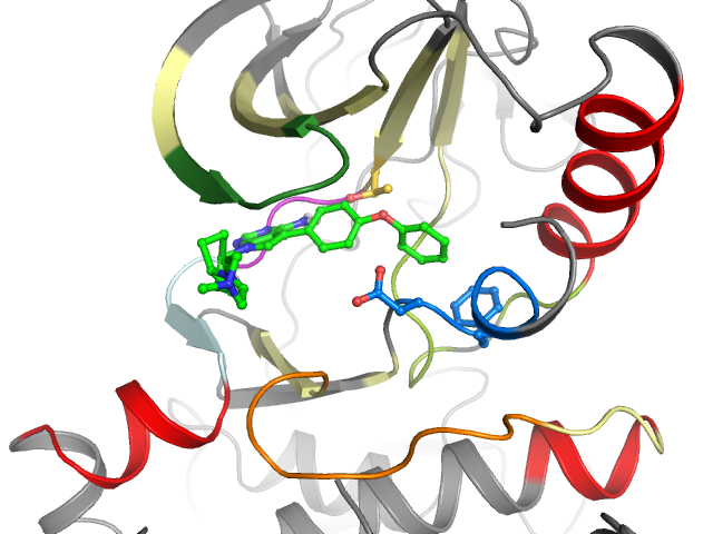 The orthosteric binding pocket