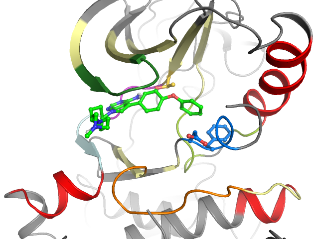 The orthosteric binding pocket