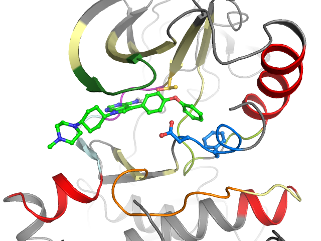 The orthosteric binding pocket