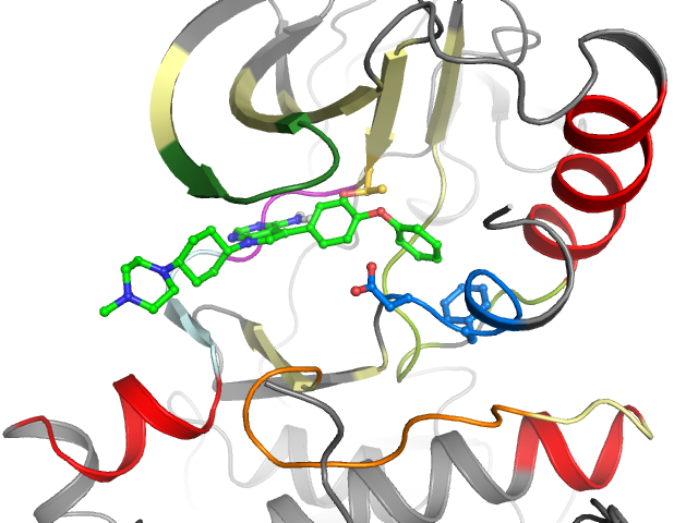 The orthosteric binding pocket