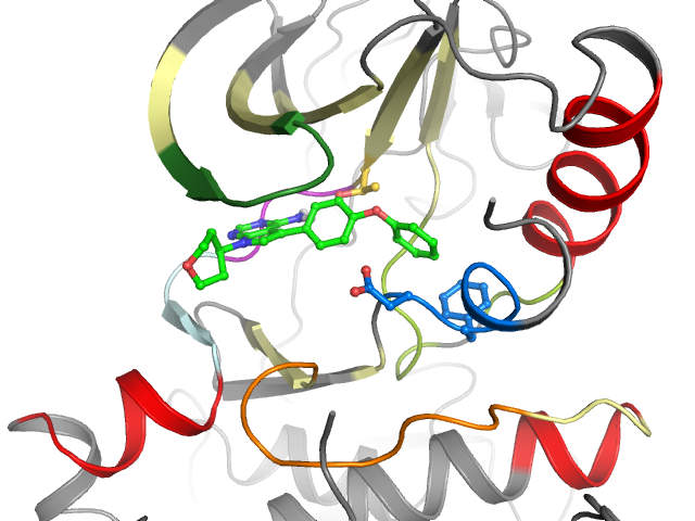 The orthosteric binding pocket