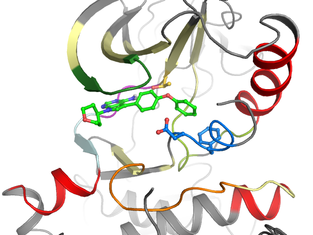 The orthosteric binding pocket