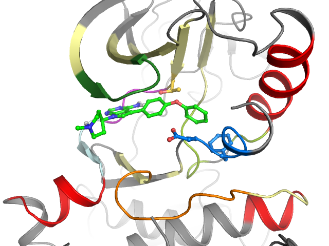 The orthosteric binding pocket