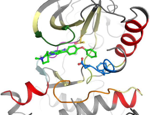 The orthosteric binding pocket