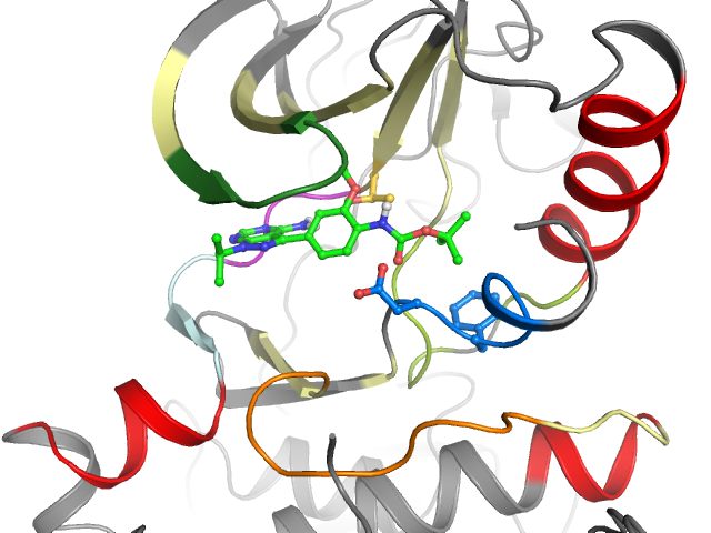 The orthosteric binding pocket