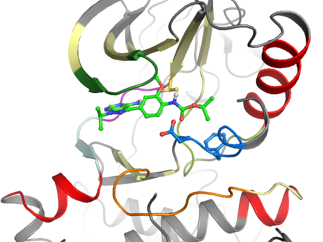 The orthosteric binding pocket