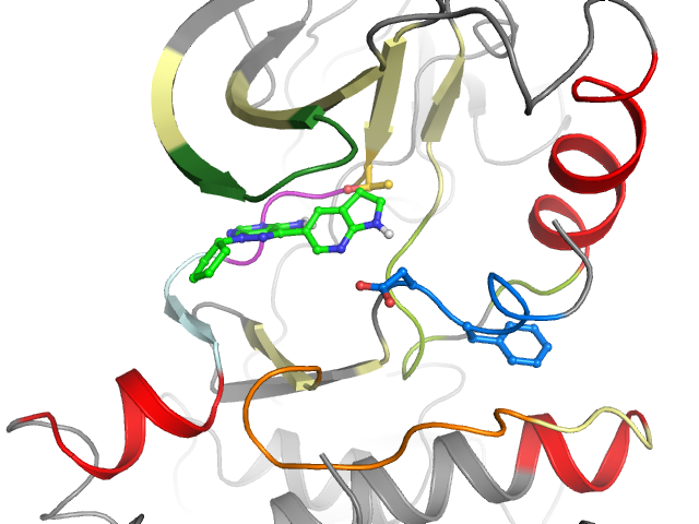 The orthosteric binding pocket