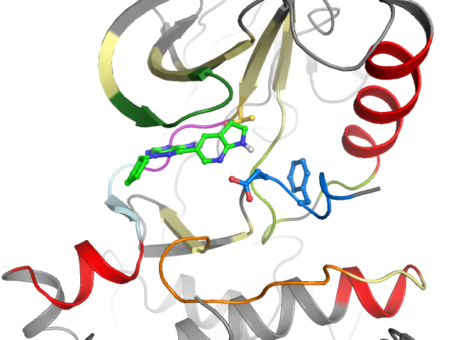 The orthosteric binding pocket