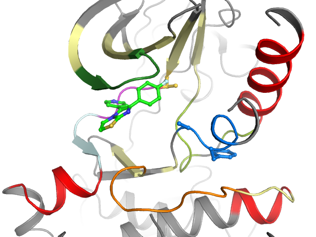 The orthosteric binding pocket