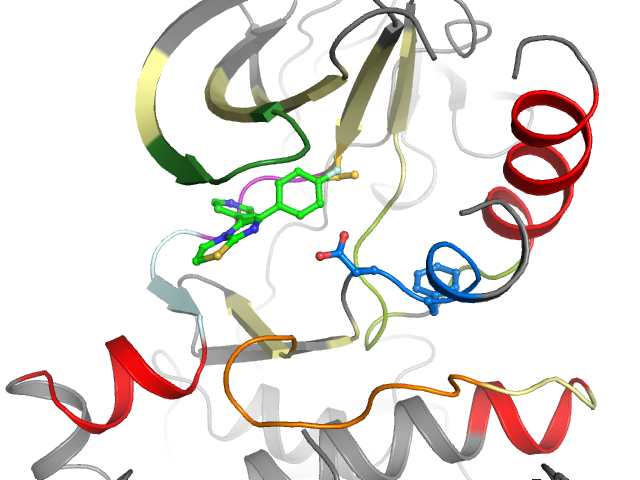 The orthosteric binding pocket