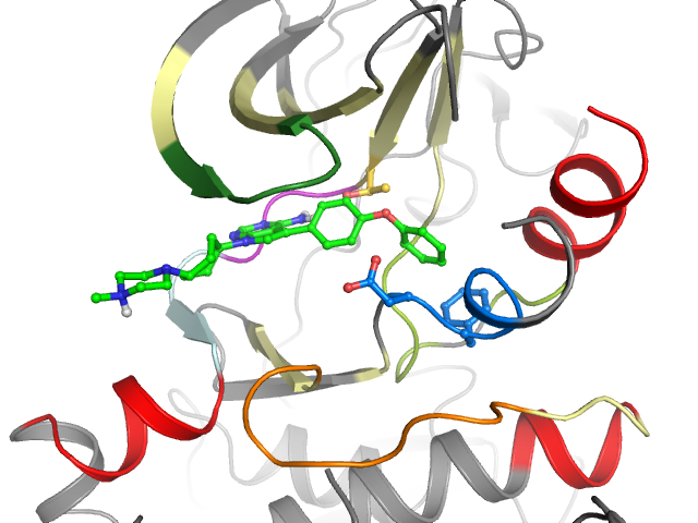 The orthosteric binding pocket