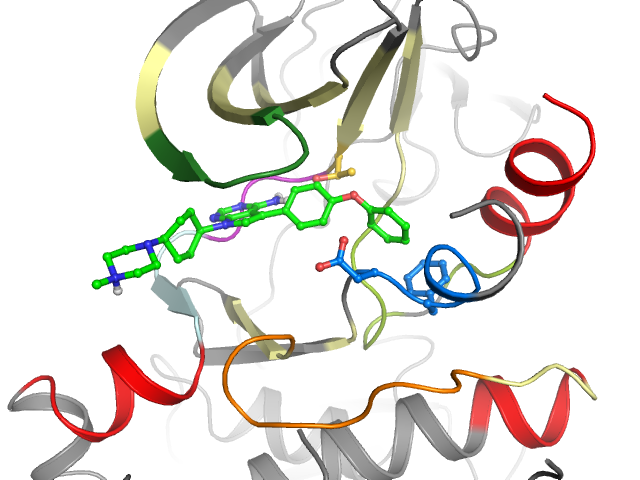 The orthosteric binding pocket