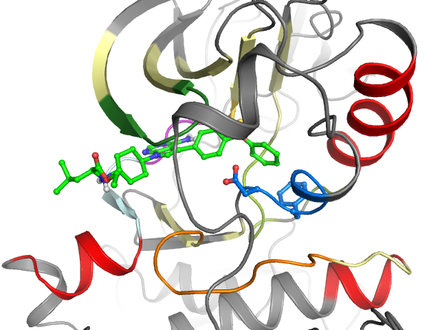 The orthosteric binding pocket