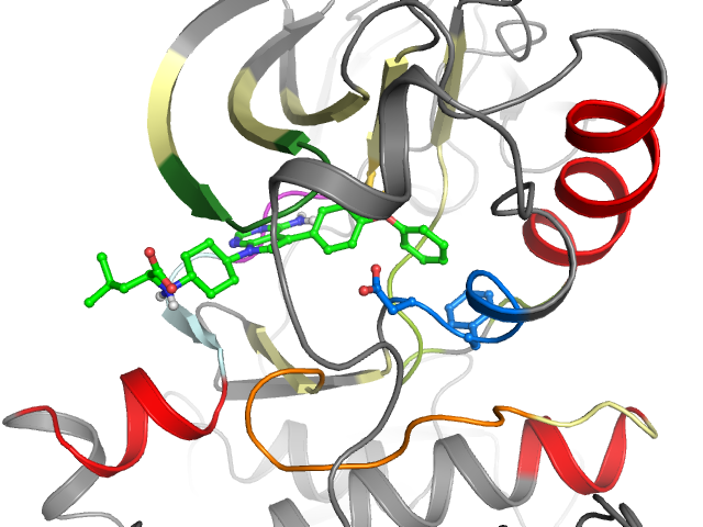 The orthosteric binding pocket