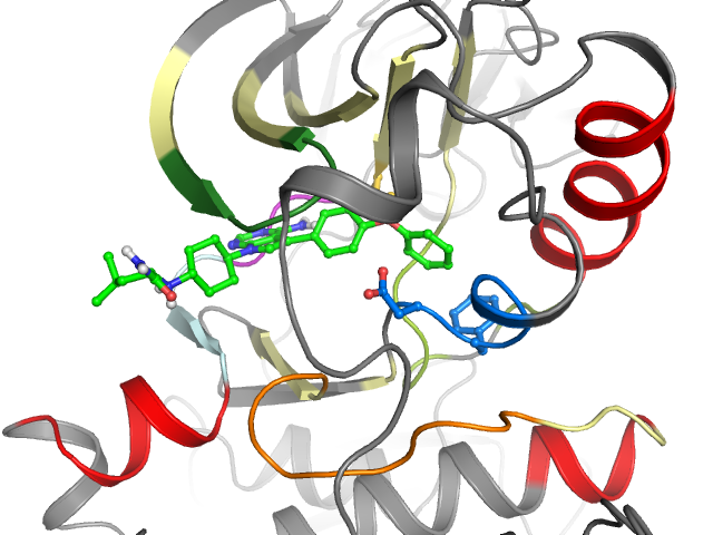 The orthosteric binding pocket