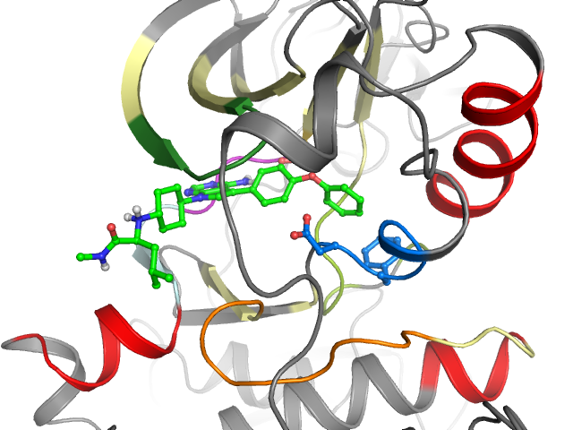 The orthosteric binding pocket