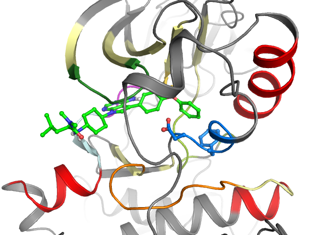 The orthosteric binding pocket