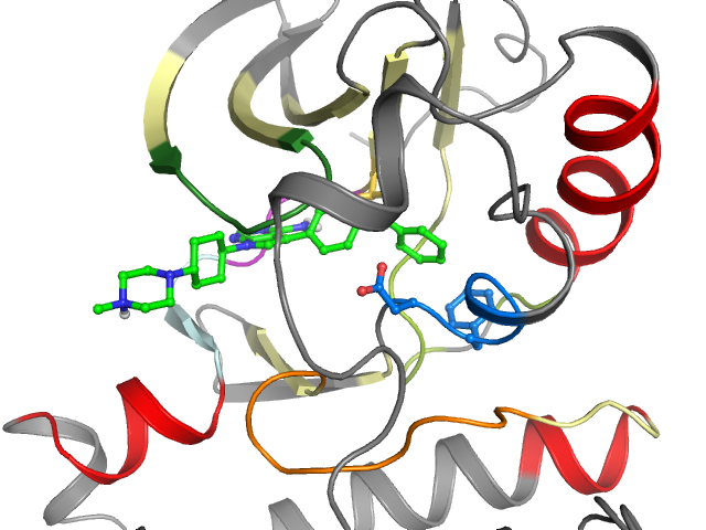 The orthosteric binding pocket
