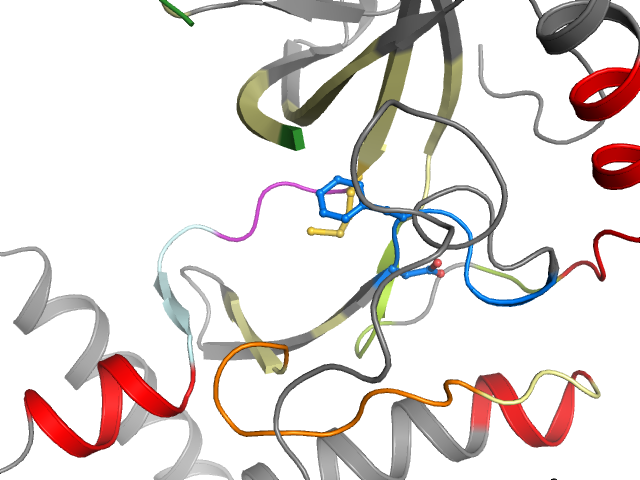 The orthosteric binding pocket