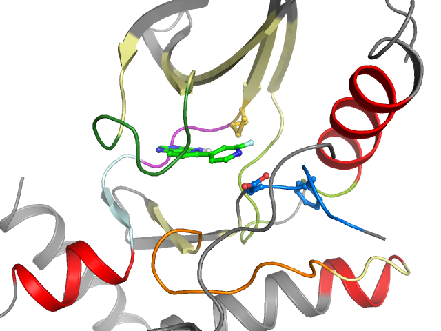 The orthosteric binding pocket