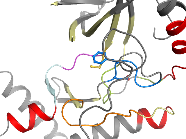 The orthosteric binding pocket