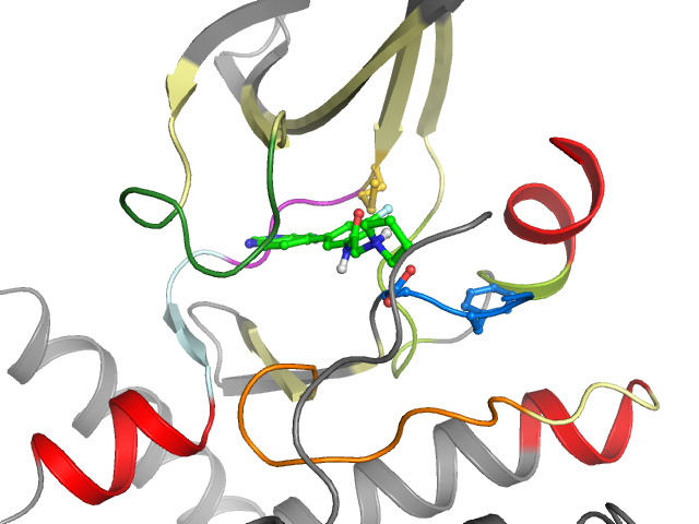 The orthosteric binding pocket