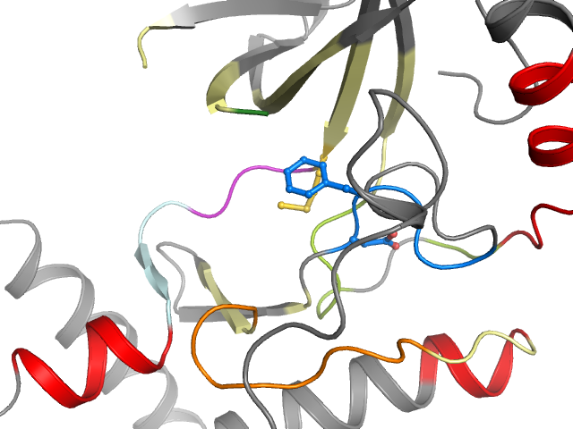The orthosteric binding pocket