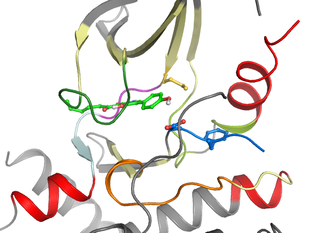 The orthosteric binding pocket