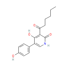 2D structure of the orthosteric ligand