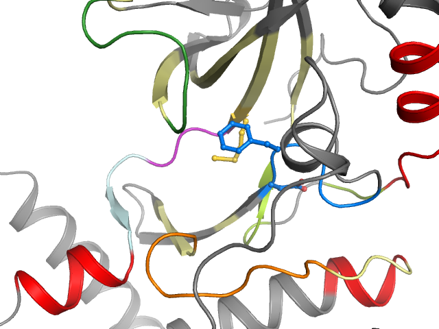 The orthosteric binding pocket