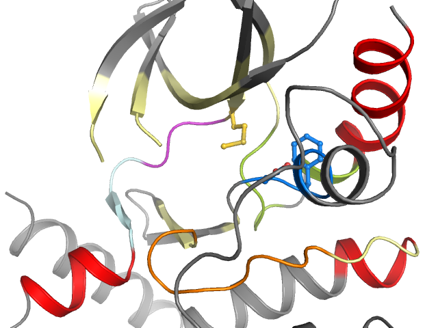 The orthosteric binding pocket