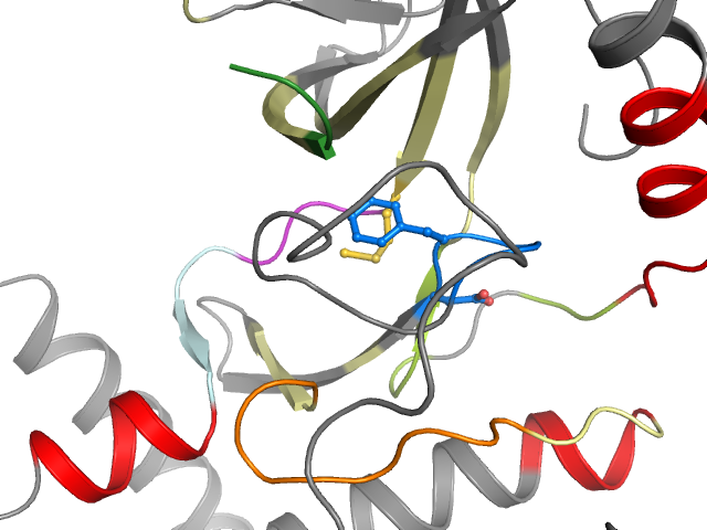 The orthosteric binding pocket