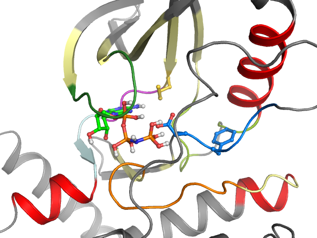 The orthosteric binding pocket