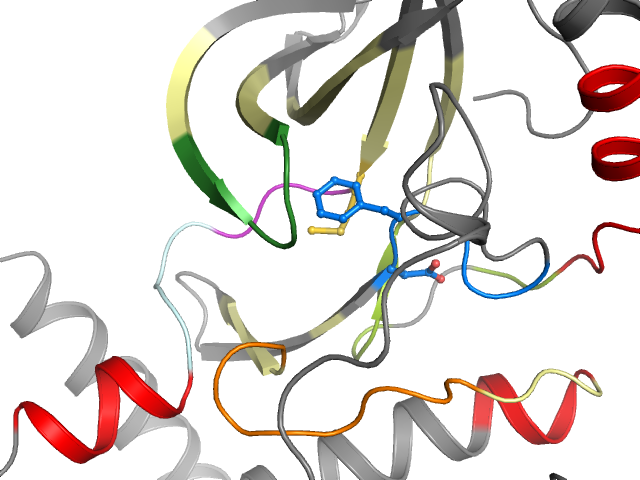 The orthosteric binding pocket
