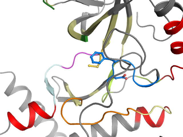 The orthosteric binding pocket