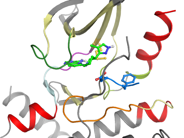 The orthosteric binding pocket
