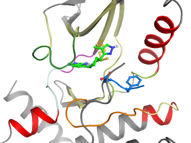 The orthosteric binding pocket