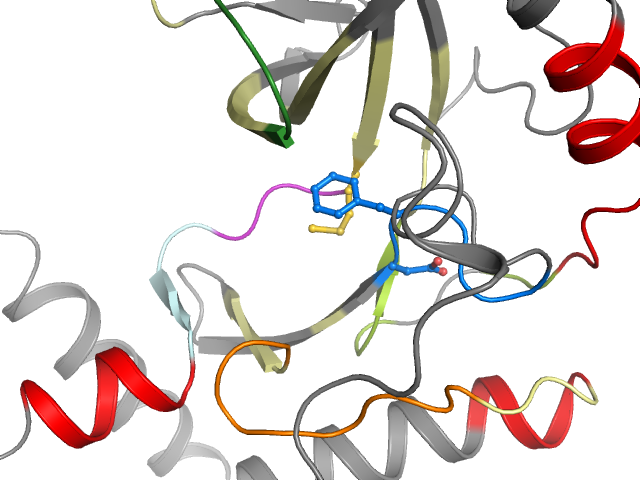 The orthosteric binding pocket