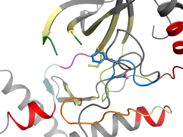 The orthosteric binding pocket