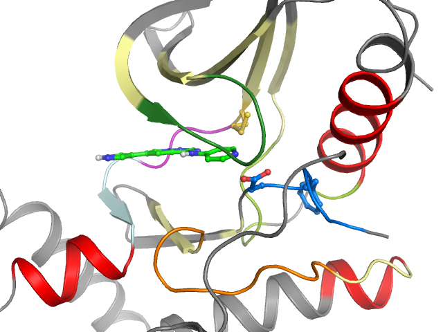 The orthosteric binding pocket
