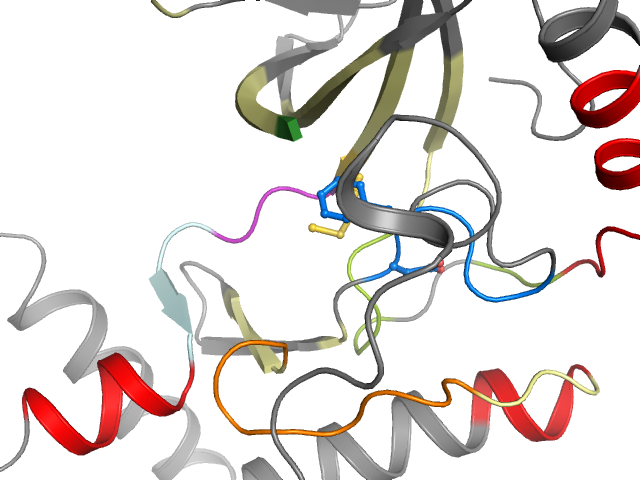 The orthosteric binding pocket
