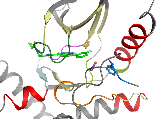 The orthosteric binding pocket