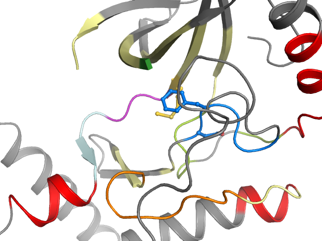 The orthosteric binding pocket
