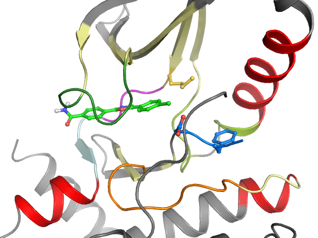 The orthosteric binding pocket
