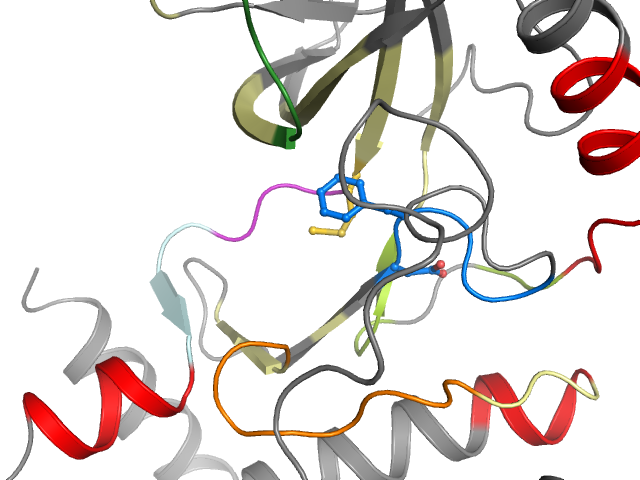 The orthosteric binding pocket
