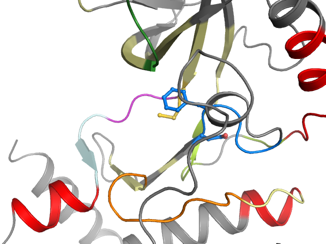 The orthosteric binding pocket
