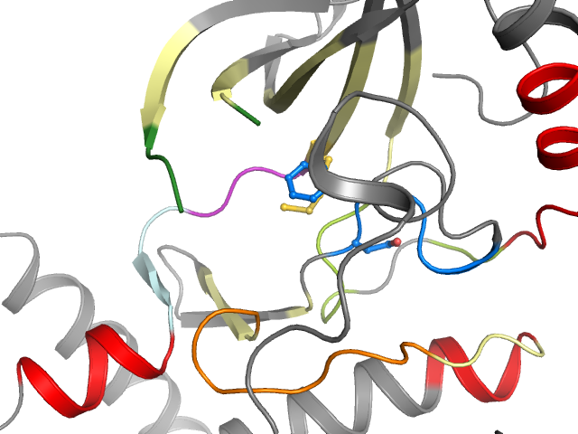 The orthosteric binding pocket