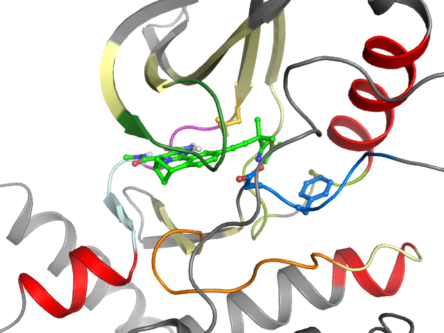 The orthosteric binding pocket