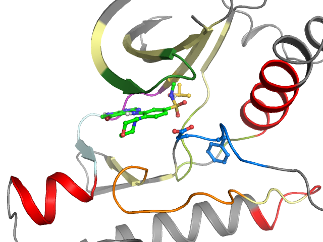 The orthosteric binding pocket